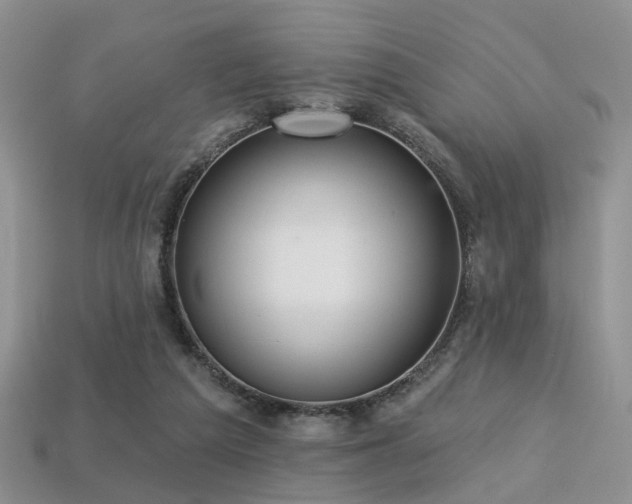 X0000113230209200909101218