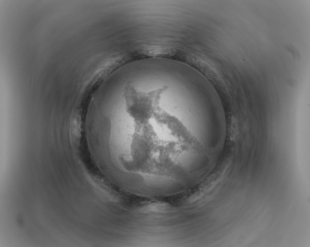 X0000113230210200909101218