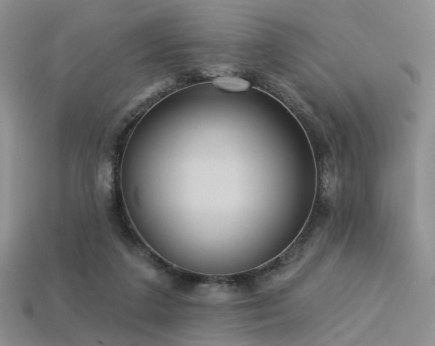 X0000113230211200909101218