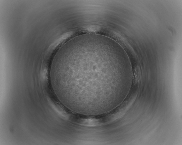 X0000113230212200909101218