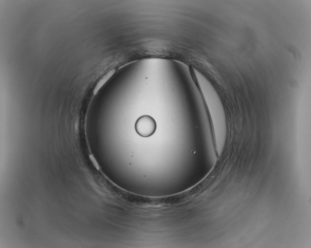 X0000113230213200909101218