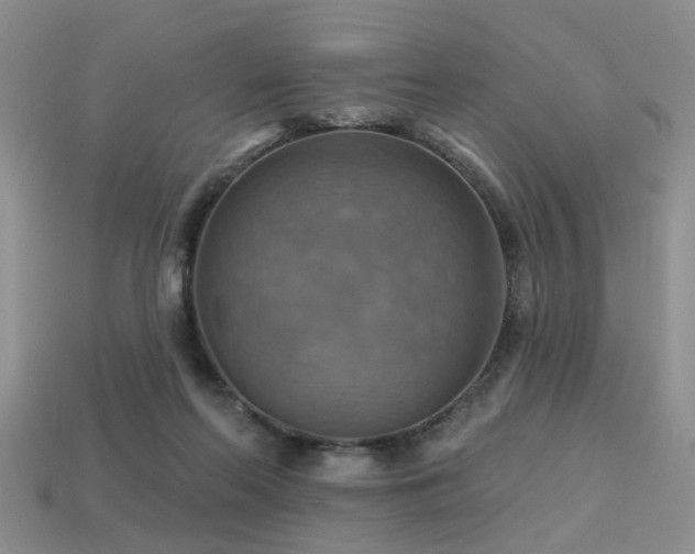 X0000113230214200909101218