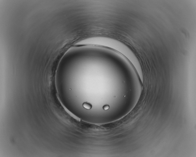 X0000113230215200909101218