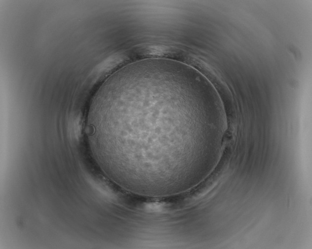 X0000113230216200909101218
