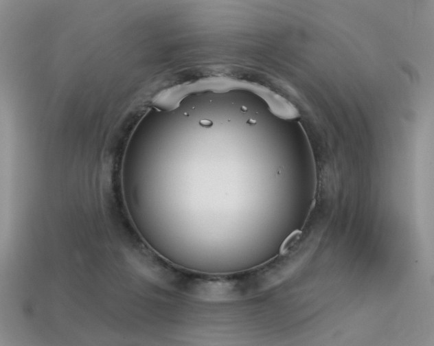 X0000113230217200909101218