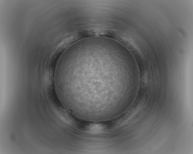 X0000113230218200909101218