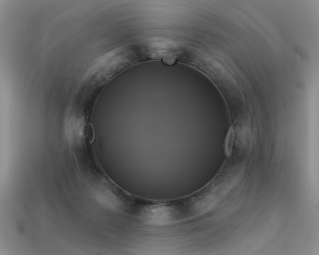 X0000113230219200909101218