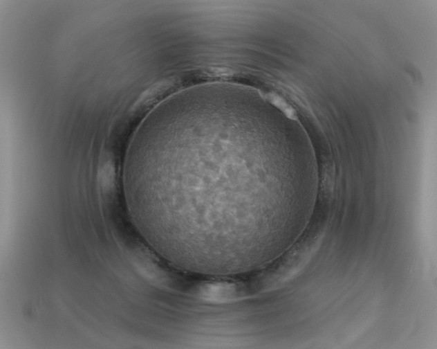 X0000113230220200909101218