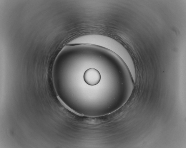 X0000113230221200909101218