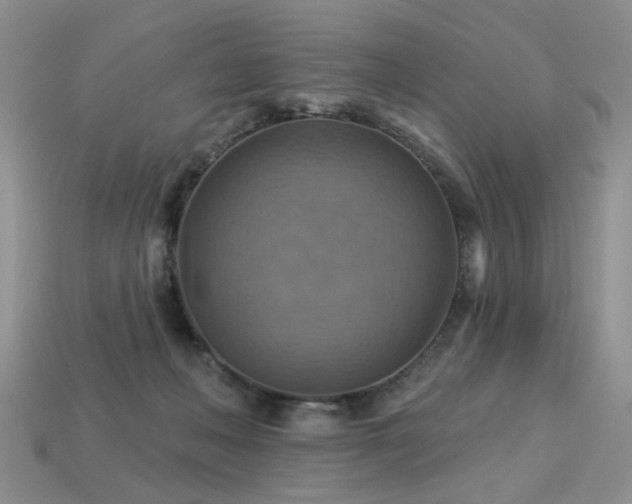 X0000113230222200909101218