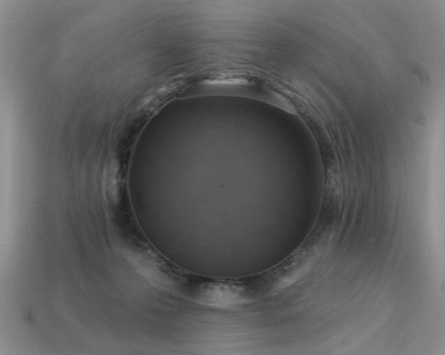 X0000113230223200909101218
