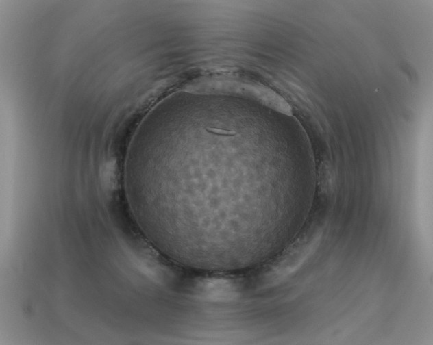 X0000113230224200909101218