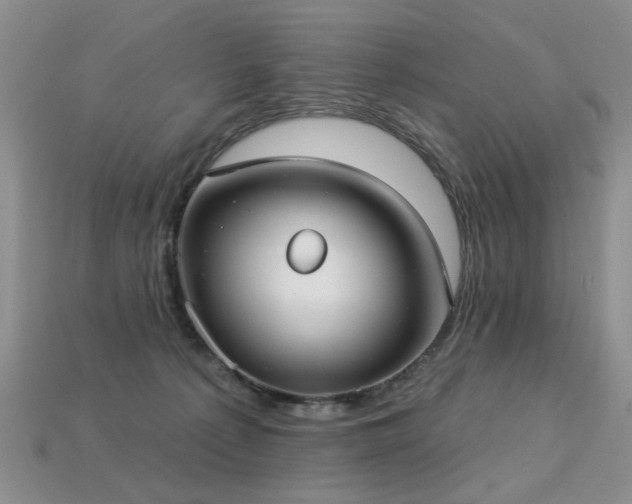 X0000113230225200909101218
