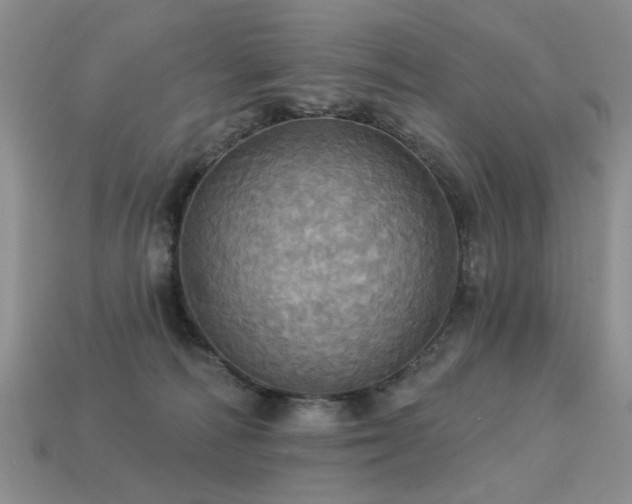 X0000113230226200909101218