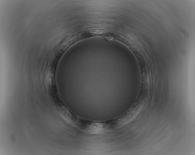 X0000113230227200909101218