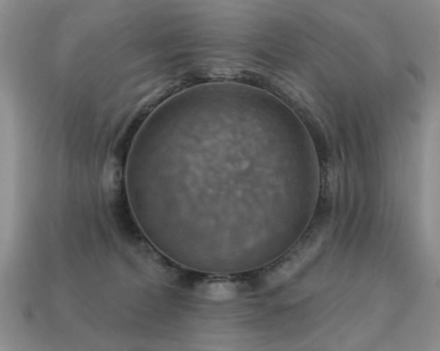 X0000113230228200909101218