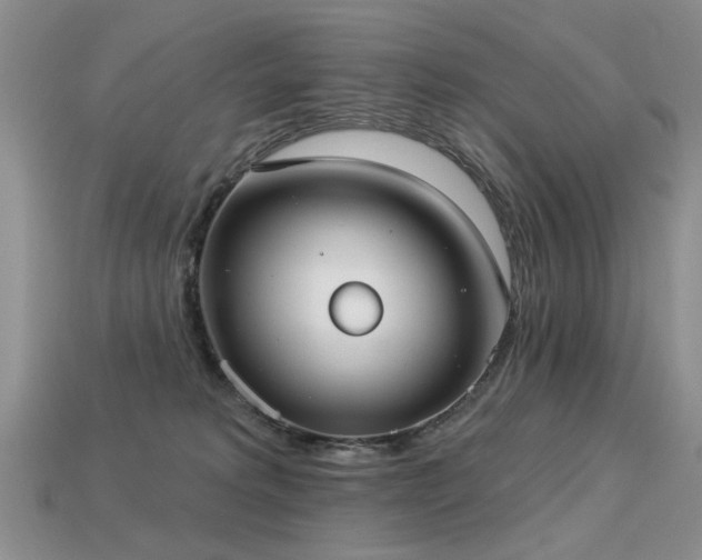 X0000113230229200909101218