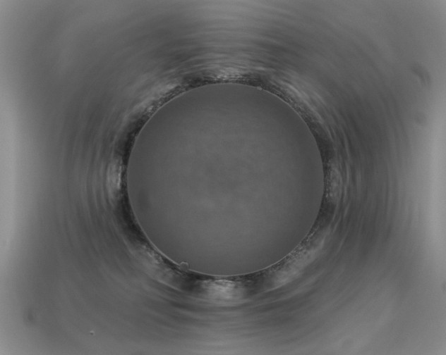 X0000113230230200909101218