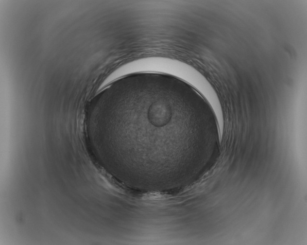 X0000113230231200909101218