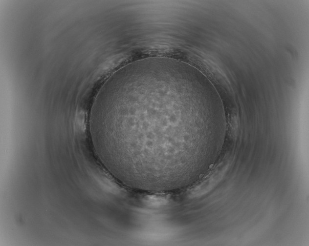 X0000113230232200909101218