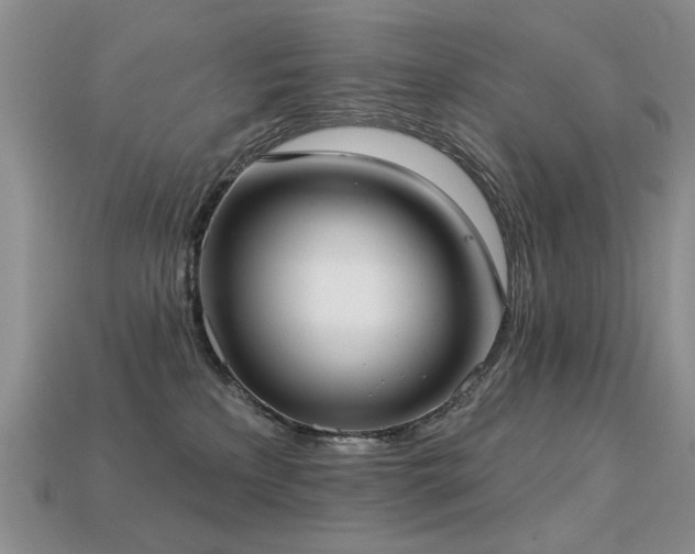 X0000113230233200909101218