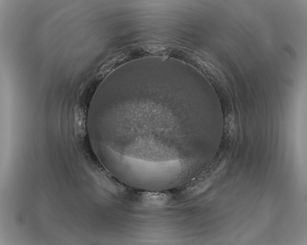 X0000113230234200909101218