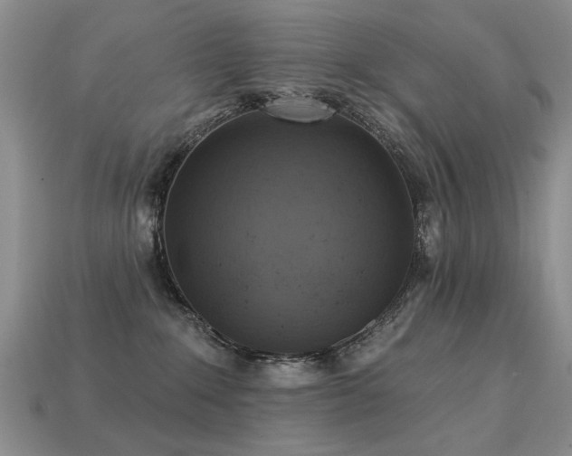 X0000113230235200909101218