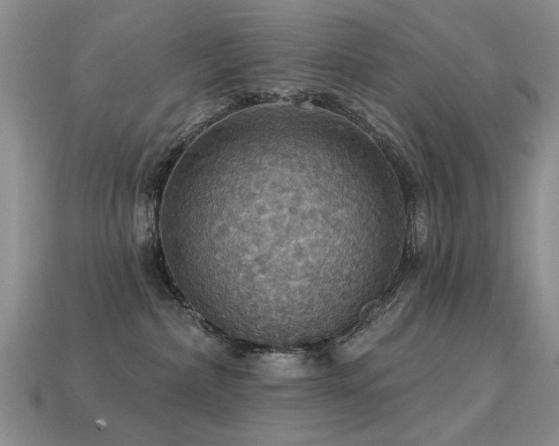 X0000113230236200909101218