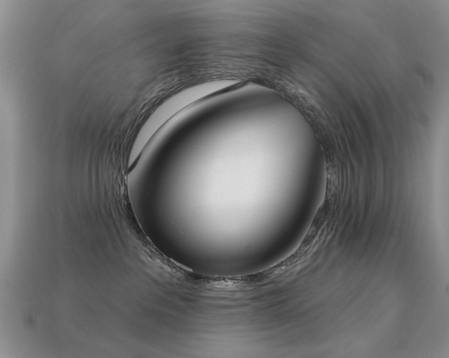 X0000113230237200909101217