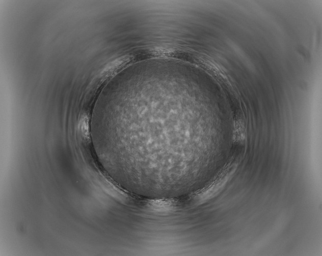 X0000113230238200909101217
