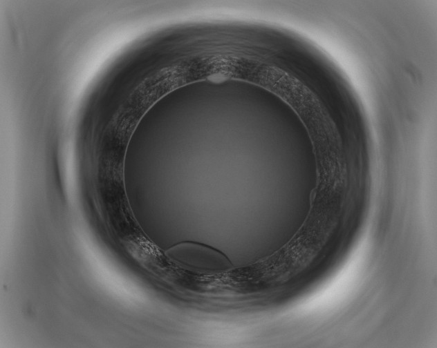 X0000113230239200909101217