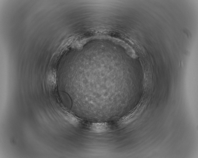X0000113230240200909101217