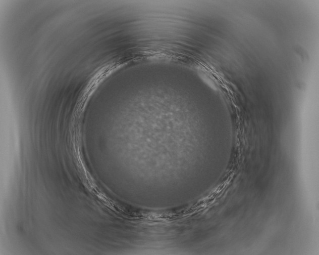 X0000113230241200909101217