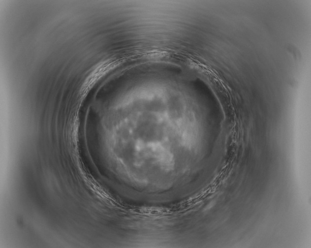 X0000113230242200909101217