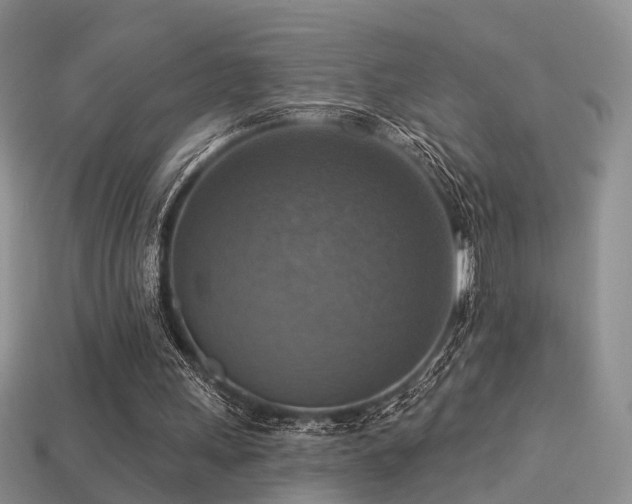 X0000113230243200909101217