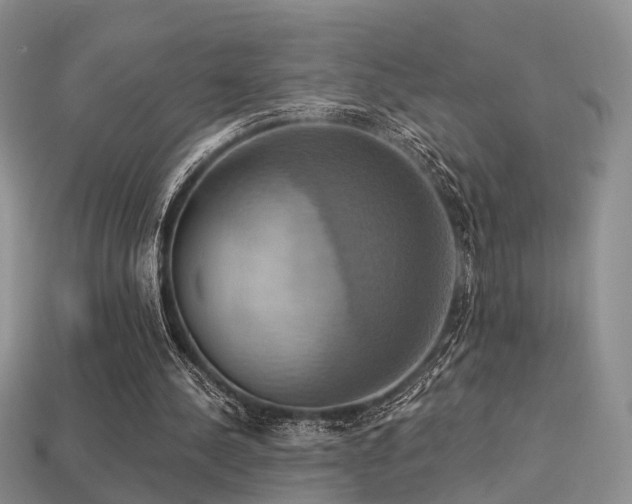 X0000113230244200909101217