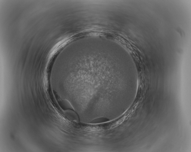 X0000113230245200909101217