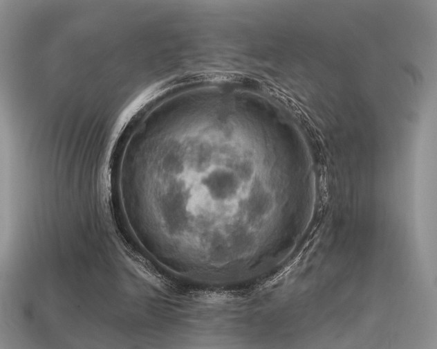 X0000113230246200909101217