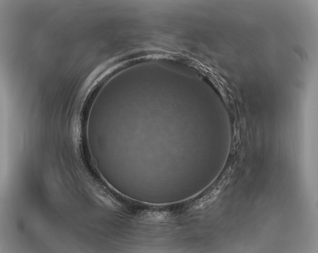 X0000113230247200909101217
