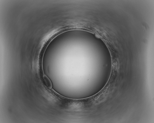 X0000113230248200909101217