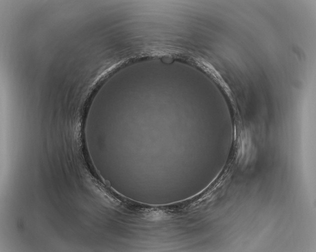 X0000113230249200909101217