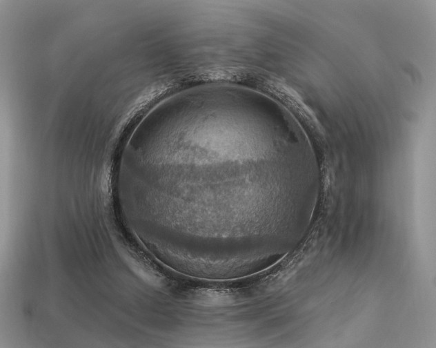 X0000113230250200909101217