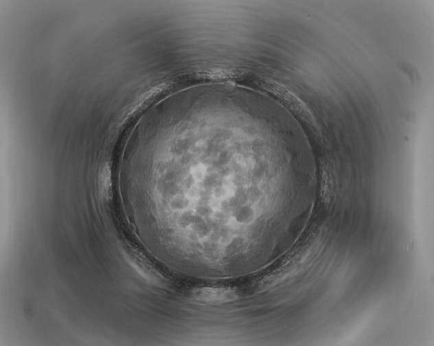 X0000113230251200909101217