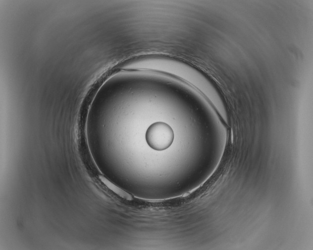 X0000113230252200909101217
