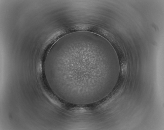 X0000113230254200909101217