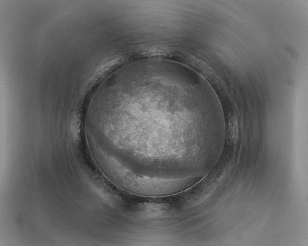 X0000113230255200909101217