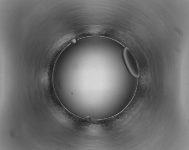 X0000113230256200909101217