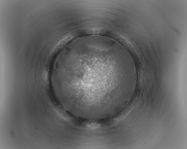 X0000113230258200909101217