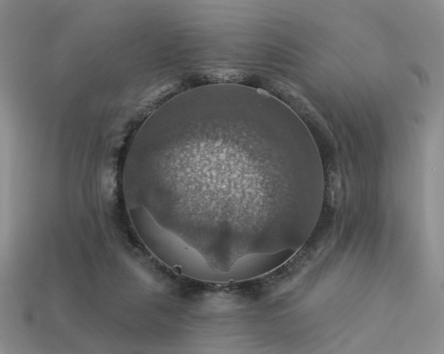 X0000113230259200909101217