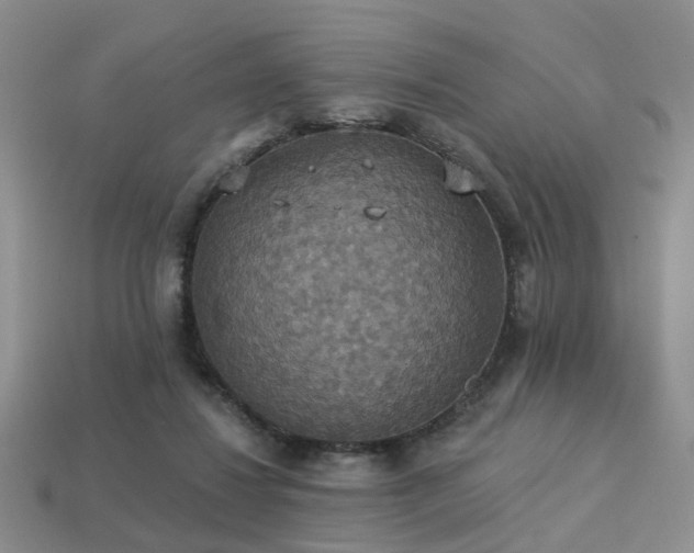 X0000113230260200909101217